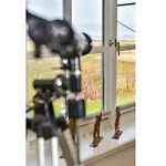 Litzkow 10504 Semesterbostad *
